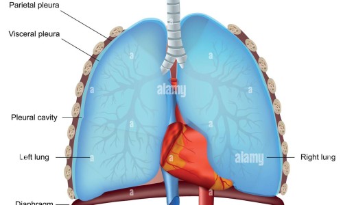 痱子用啥药膏-瘊子外用药可以治愈吗网 - 网站提供痦子可以涂抹药膏吗小常识、治疗痱子的外用药物